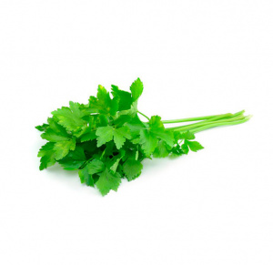 ERVA AROMA SALSA NAC. 50/60GR