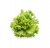 ALFACE FRISADA NAC. 1UNI 600GR APROX.