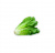 ALFACE ROMANA IMP. 2UNI 750GR APROX.