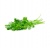 ERVA AROMA COENTROS NAC. 50/60GR